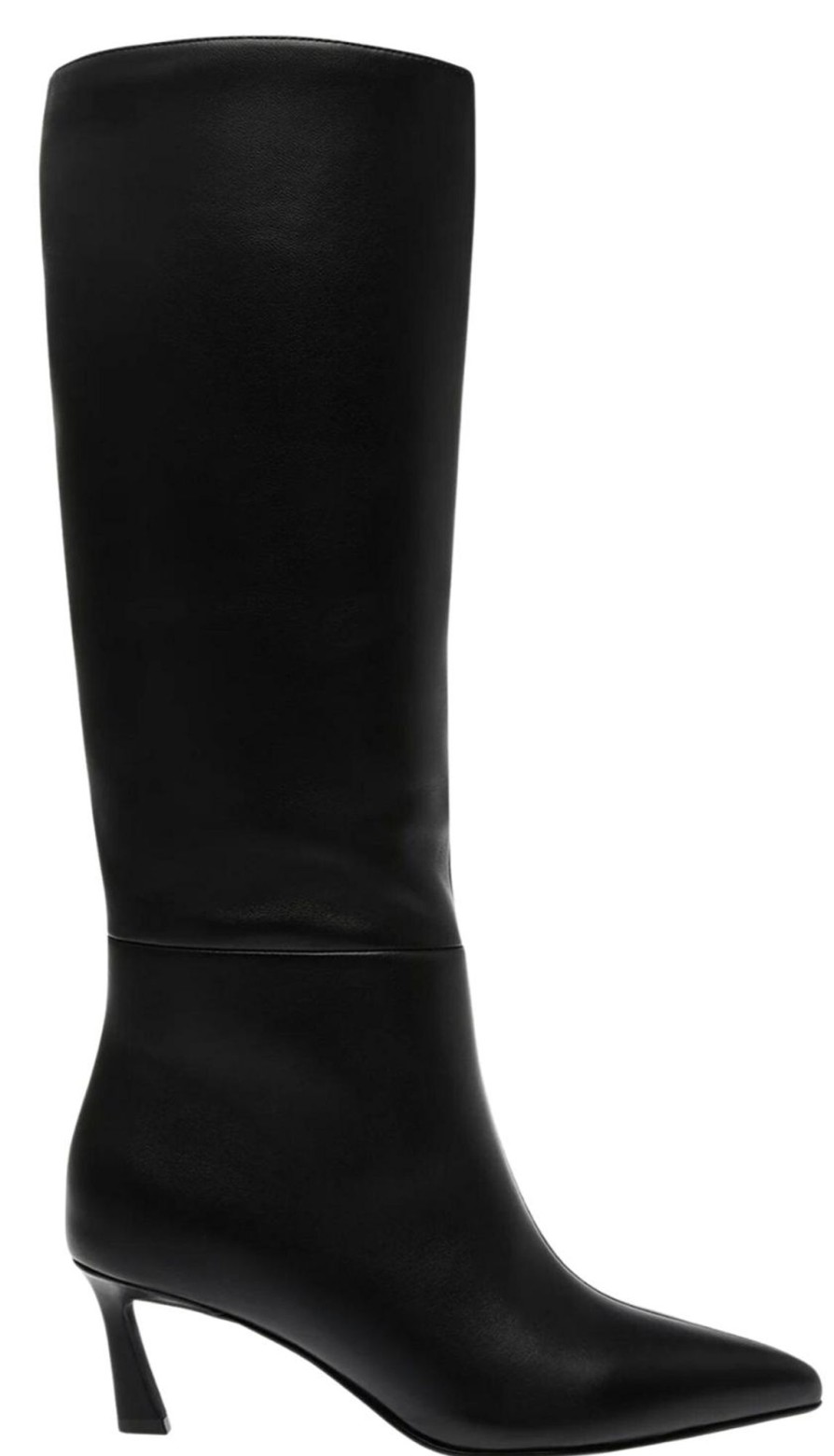 Shoes Steve Madden Heeled Boots | Lavan